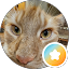 Eugene Avatar